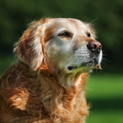การตรวจสุขภาพทั่วไป (Annual Health Check Program)